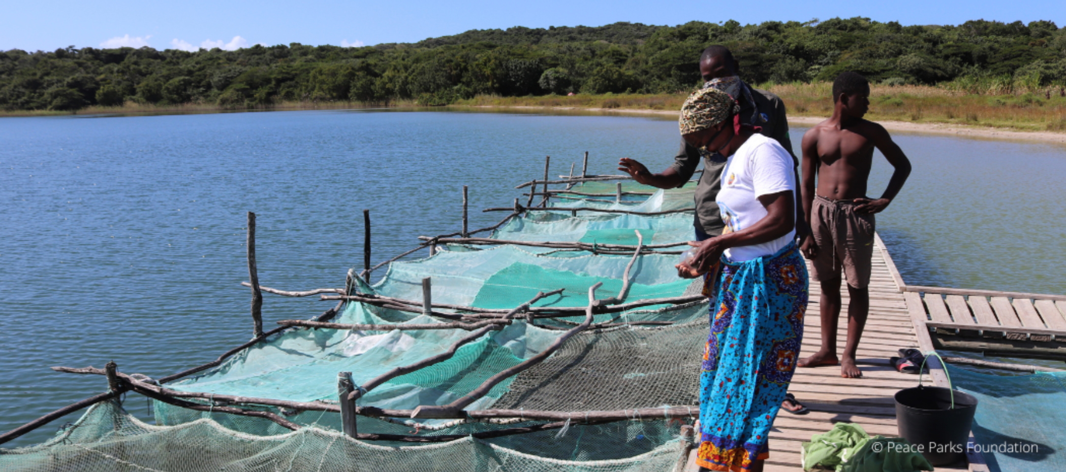 ADRA in Mosambik: Umweltschutz ist Menschenschutz